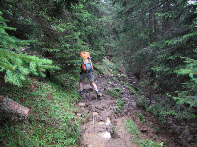 Christoph zwischen Krainer T&ouml;rl und Mlinzasattel (31. Juli)