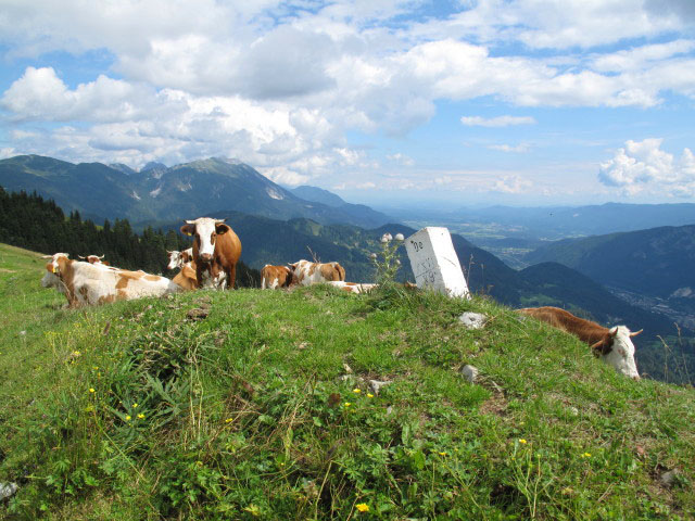 zwischen Rosenkogel und Rosenbachsattel (31. Juli)