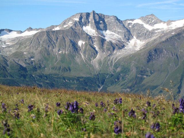 Hoher Sonnblick und Goldzechkopf vom Kalkbretterkopf aus (14. Aug.)