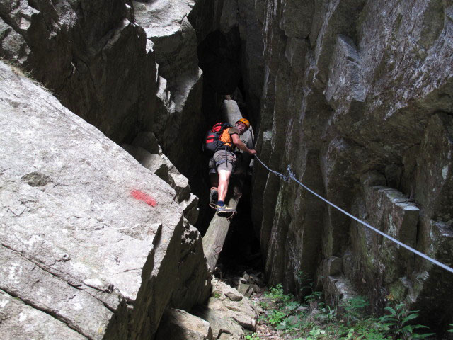 Andreas auf den Baumstammleitern