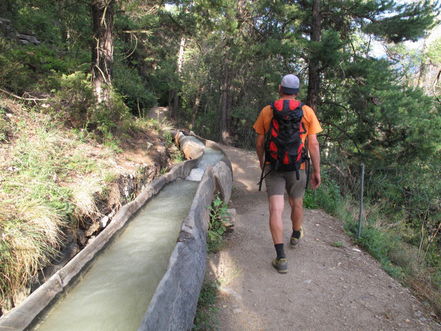 Andreas am H&ouml;henweg L&ouml;tschberg S&uuml;drampe zwischen St. Germanfl&uuml;e und Maachi