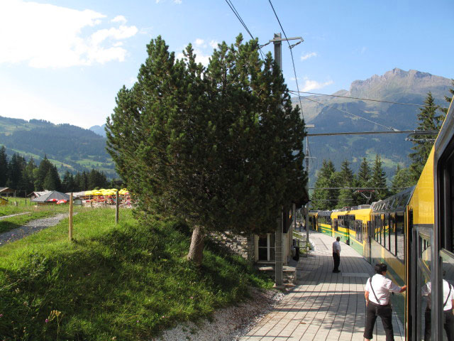 R 466 im Bahnhof Brandegg, 1.333 m