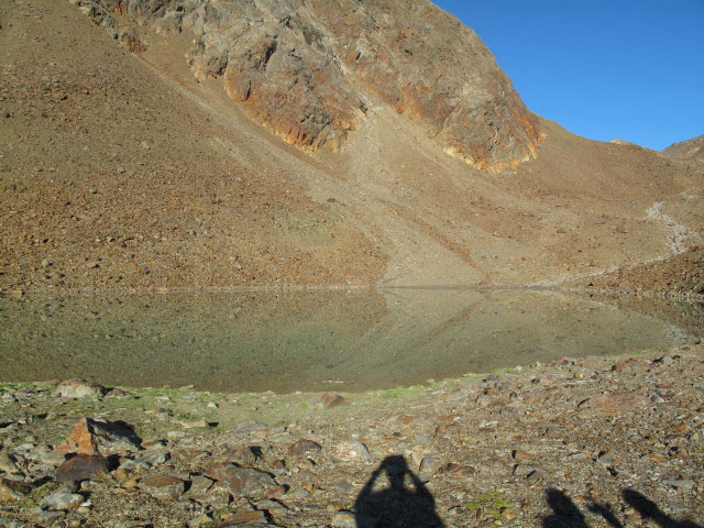 neben dem Neuen Offenbacher H&ouml;henweg zwischen Eiskasten und Vorderer Eiskastenbach (11. Sep.)