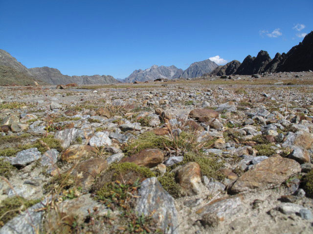 Offenbacher H&ouml;henweg beim Rifflbach (11. Sep.)