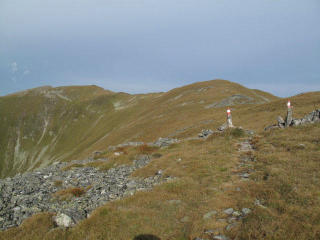 zwischen Lamprechth&ouml;he und Schwaigerh&ouml;he (17. Sep.)
