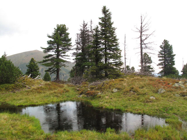 Brandst&auml;tterkar (17. Sep.)