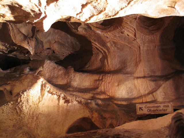 'Gaumen mit Oberkiefer' in der Nixh&ouml;hle