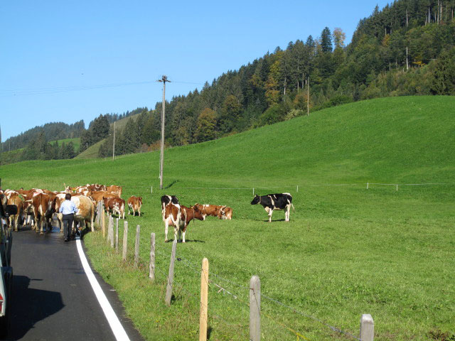 Vorder Sangerebode (24. Sep.)