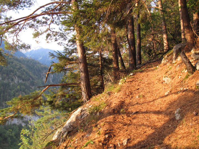 zwischen Brodh&uuml;si und Sunnighorn-Klettersteig