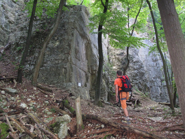 Andreas im Klettergarten Eppenberg 2