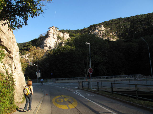 Diana in der Vorderbr&uuml;hl