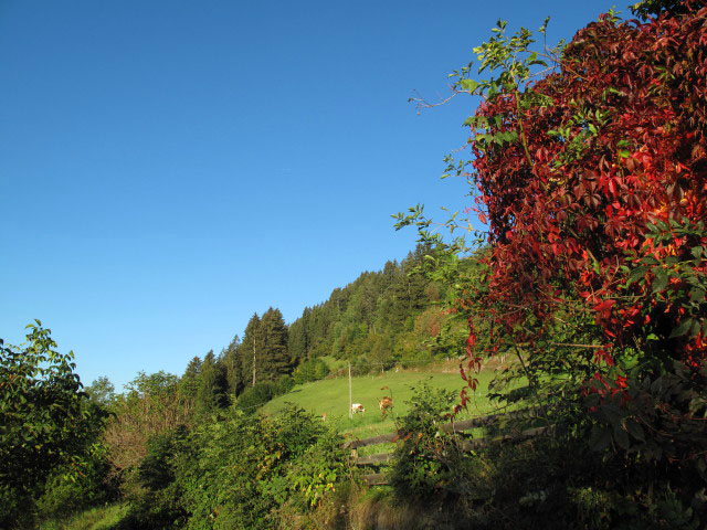 Kehrerhöfe, 1.306 m (1. Okt.)