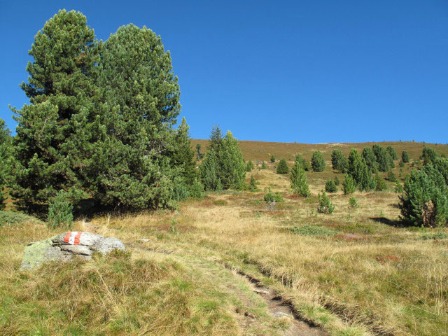 Pfunderer H&ouml;henweg auf den Plattner Bergwiesen (1. Okt.)