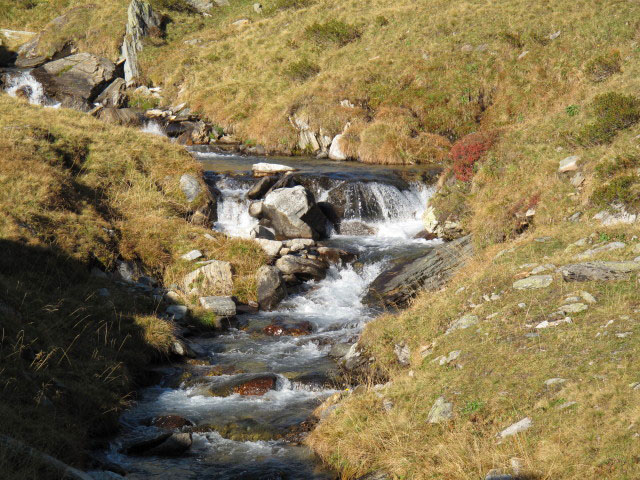 Eisbruggbach (2. Okt.)