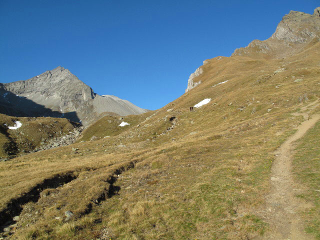 Pfunderer H&ouml;henweg zwischen Eisbruggalm und Eisbruggsee (2. Okt.)