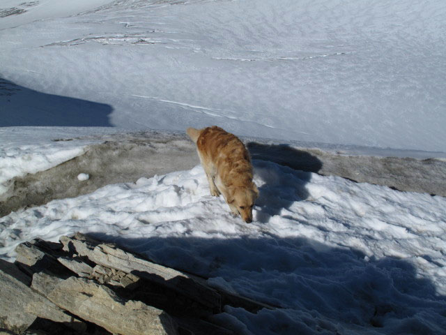 Wei&szlig;karferner vom Hochfeiler aus (3. Okt.)