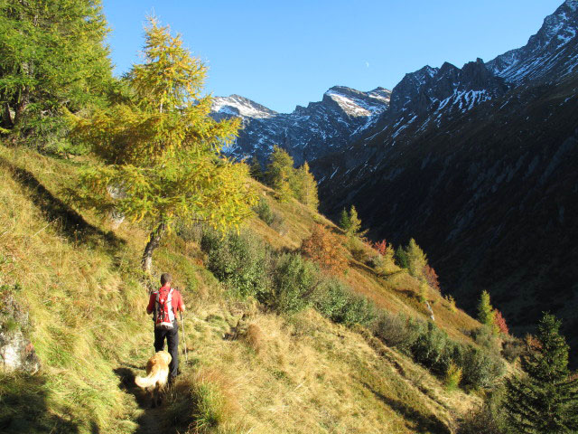 Weg 1 zwischen B&auml;renbad und Wiener Neustatt (3. Okt.)