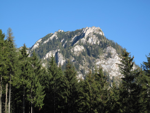 Fahnenk&ouml;pfl (15. Okt.)