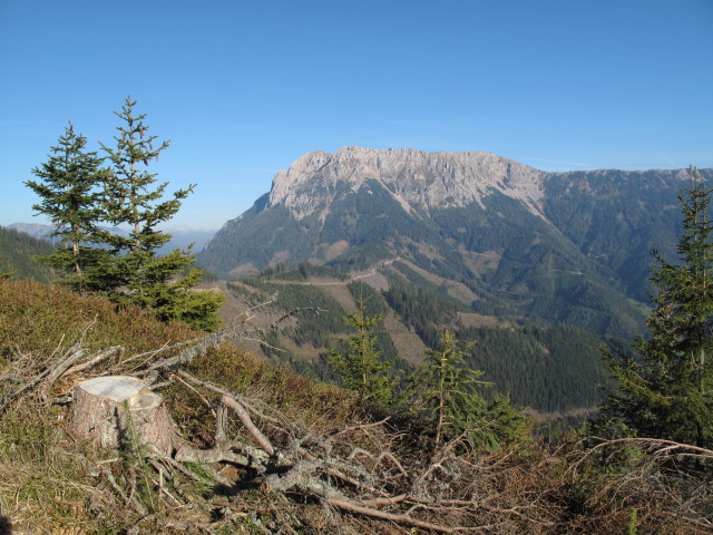 G&ouml;&szlig;eck von Weg 681 aus (16. Okt.)