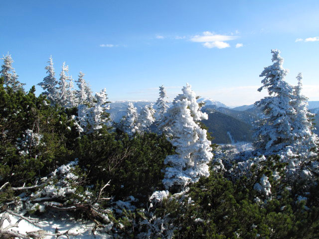 zwischen Schwarzauer Gippel und Gippelt&ouml;rl
