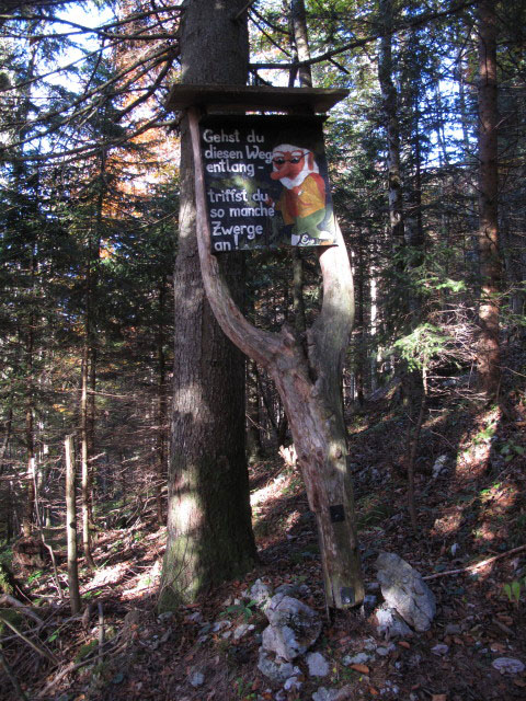 neben dem Sommerauweg zwischen Weg 28 und Abzweigung Sommeraustein Südostgrat