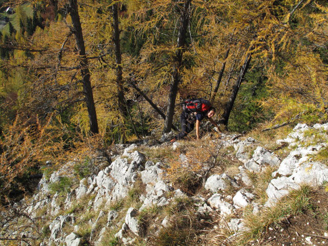 Sonja zwischen K&auml;ferwandl und Sommerauweg