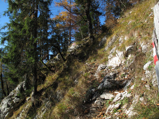 zwischen Obertraun und Goiserer Aussicht