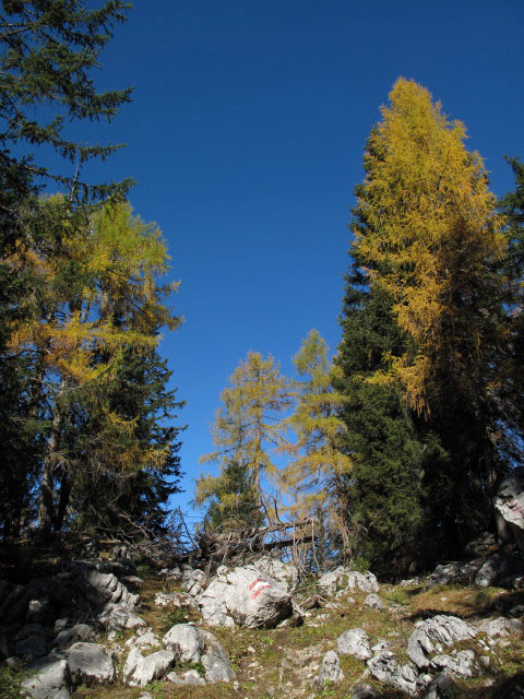 zwischen Goiserer Aussicht und Sarsteinh&uuml;tte