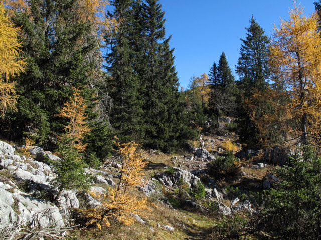 zwischen Goiserer Aussicht und Sarsteinh&uuml;tte