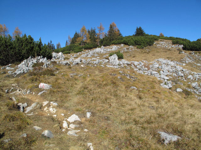 zwischen Sarsteinh&uuml;tte und Hoher Sarstein