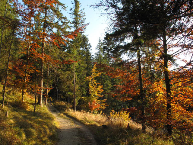 zwischen Simony-Aussicht und P&ouml;tschenpassstra&szlig;e