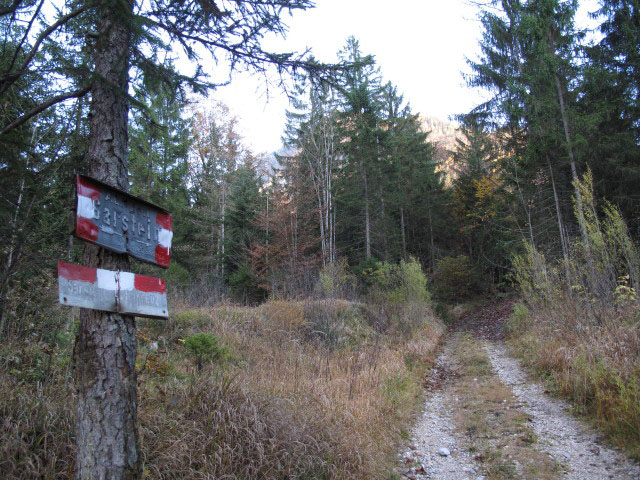 zwischen P&ouml;tschenpassstra&szlig;e und alter P&ouml;tschenpassstra&szlig;e
