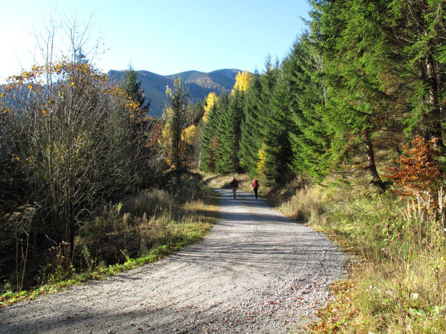 zwischen Haselgraben und Sonnleiten