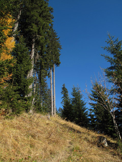 zwischen Gro&szlig;er Sonnleitstein und Amais-Wies-H&uuml;tte