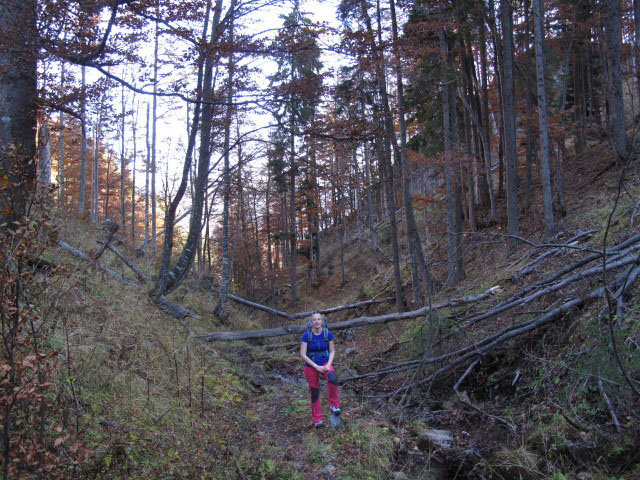 Janna zwischen Amais-Wies-H&uuml;tte und Losk&ouml;gerl