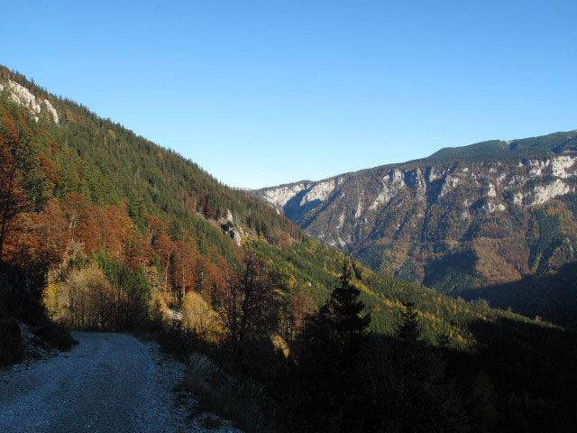 zwischen Losk&ouml;gerl und Sonnleiten