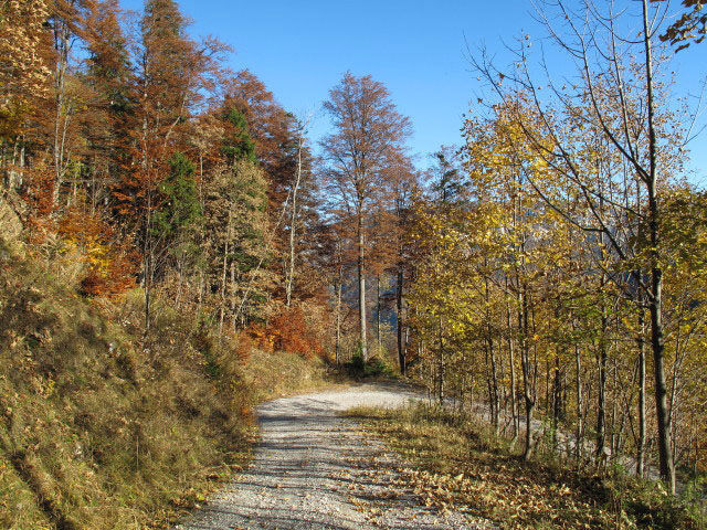 zwischen Losk&ouml;gerl und Sonnleiten