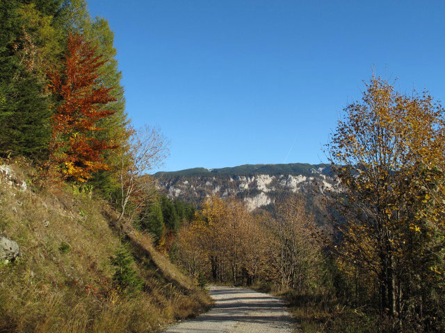 zwischen Losk&ouml;gerl und Sonnleiten