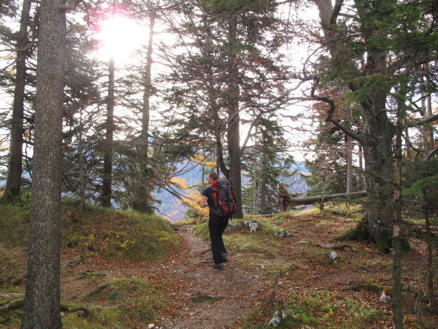 Sonja auf Weg 820 zwischen Wei&szlig;enbach am Attersee und Schoberstein