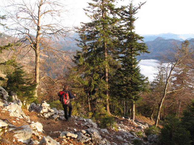 Sonja zwischen Weg 820 und F&uuml;rstenbergstube