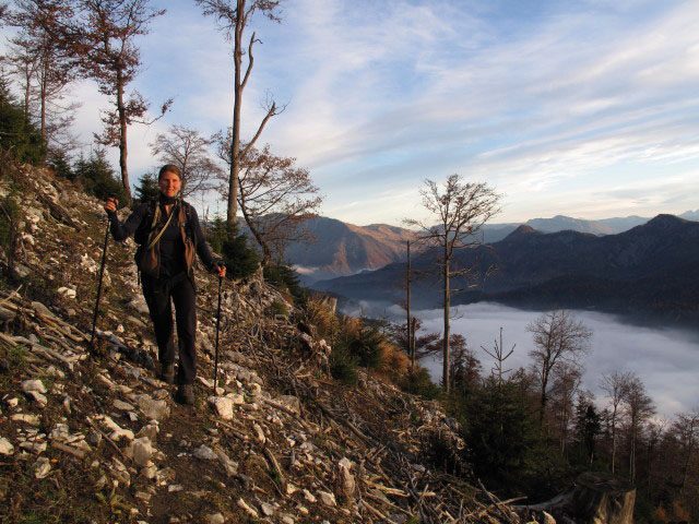 Sonja zwischen Weg 820 und F&uuml;rstenbergstube