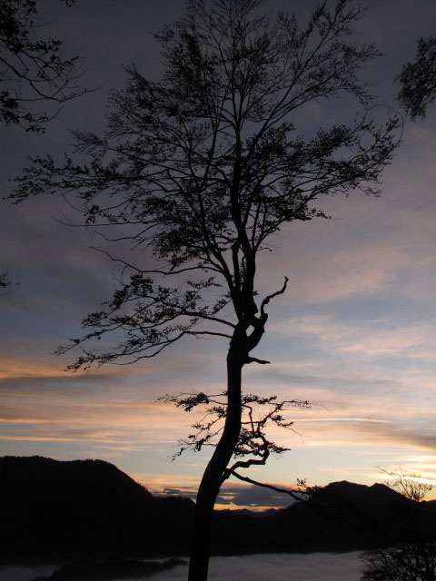 zwischen F&uuml;rstenbergstube und Saglstube