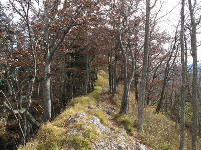 zwischen Hochhabichler und Steinerner J&auml;ger