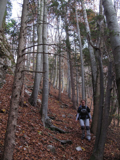 Carmen zwischen Steinerner Jäger und Pfennigstein