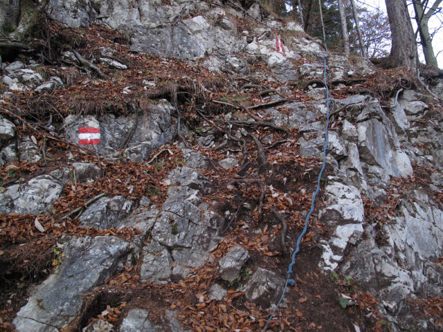 zwischen Zeiselegg und Brandk&ouml;gerl