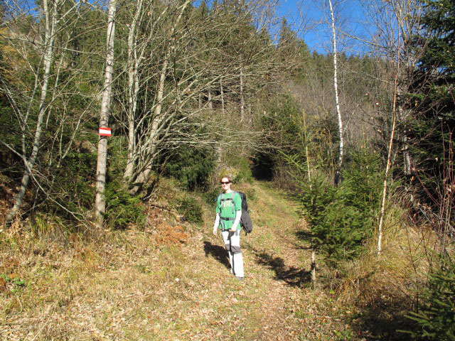 Carmen auf Weg 652 zwischen Boder und Mesneralm