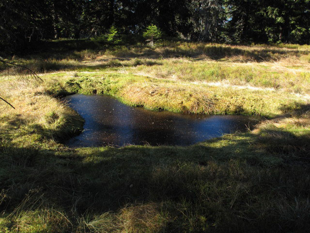 zwischen Mesneralm und D&uuml;rrensch&ouml;berl
