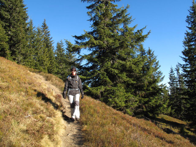 Carmen zwischen D&uuml;rrensch&ouml;berl und Hirschlacke