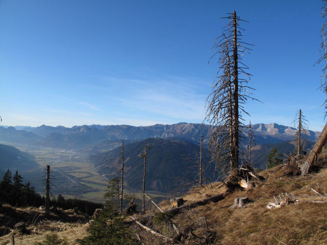 neben Weg 651 zwischen D&uuml;rrensch&ouml;berl und Hirschlacke