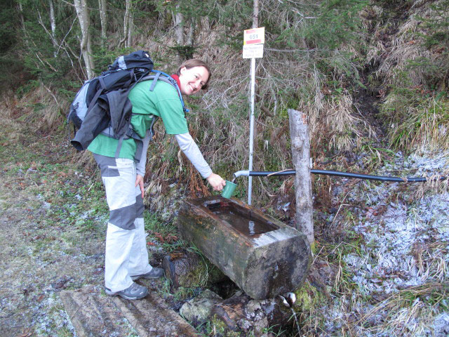 Carmen beim Naturfreundebr&uuml;ndl, 1.185 m